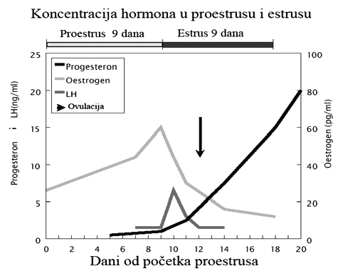 hormoni i parenje pasa